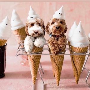 Meet your Posher, Doris